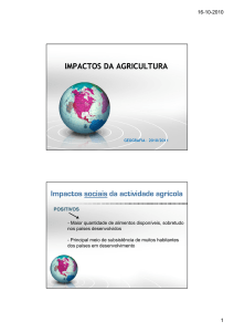 IMPACTOS DA AGRICULTURA Impactos sociais da