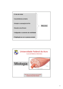 File - Anatomia Veterinária
