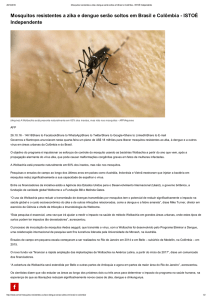 Mosquitos resistentes a zika e dengue serão soltos em Brasil e