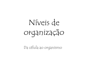 Níveis de organização
