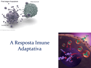 A Resposta Imune Adaptativa