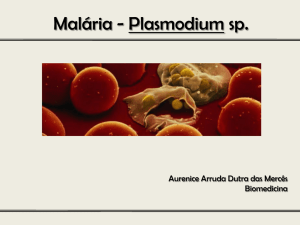 Malária - Plasmodium sp.