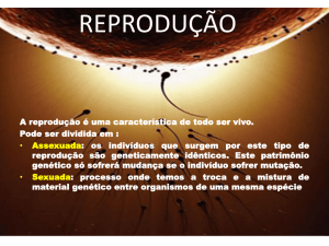 reprodução - professoresemrede.com.br