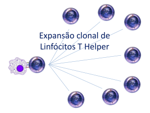 Expansão clonal – Linfócitos T Helper