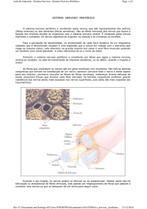 SISTEMA NERVOSO PERIFÉRICO Page 1 of 1 Aula de Anatomia