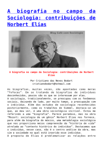 A biografia no campo da Sociologia: contribuições de Norbert Elias