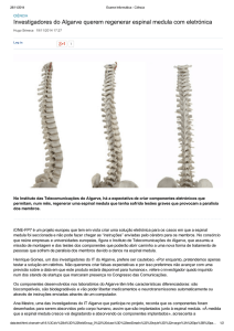 Investigadores do Algarve querem regenerar espinal medula com