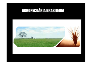agropecuária brasileira