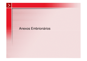 Embriologia 3 – Anexos Embrionários