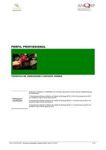 Perfil - Catálogo Nacional de Qualificações