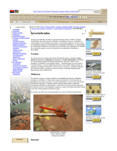Invertebrados - River Awareness Kits