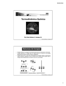 Termodinâmica Química - Prof. Alex Fabiano C. Campos