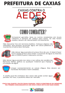 Cartaz "Caxias contra o Aedes"