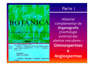 Gimnospermas e Angiospermas - Fernando Santiago dos Santos