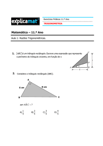 Razões Trigonométricas - exercícios práticos - pdf