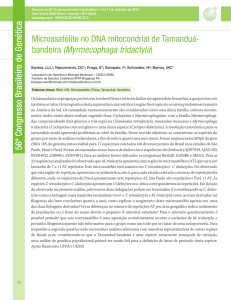 Microssatélite no DNA mitocondrial de Tamanduá