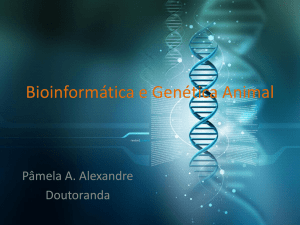 Bioinformática e Genética Animal