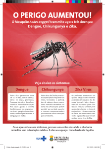 Folder_Aedes aegypti-19-11-2015.indd