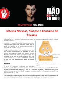 Sistema Nervoso, Sinapse e Consumo de Cocaína