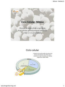 Ciclo Celular: Mitose