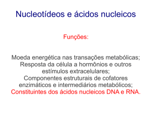 Nucleotídeos e ácidos nucleicos