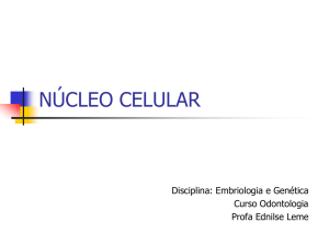 núcleo celular - Odontologia Sorocaba 2016
