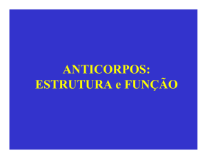 Anticorpos estrutura e funcao 2009-2