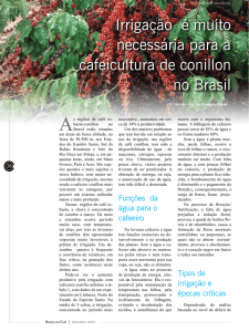 Irrigação é muito necessária para a cafeicultura de conillon no Brasil
