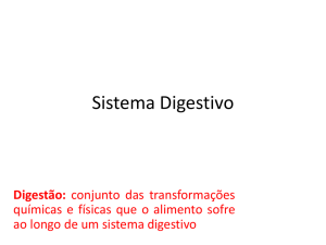 Sistema digestivo - Professor Talles