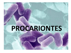 Procariontes - WordPress.com