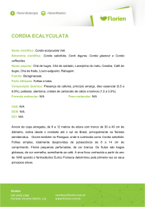 cordia ecalyculata