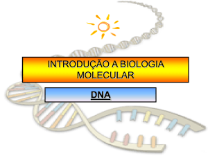 DNA - Comunidades.net