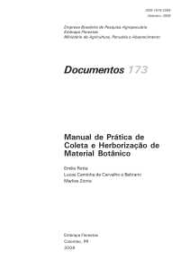 Documentos 173 - Infoteca-e