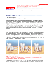 1 O que são dentes do siso?