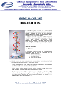 MODELO: COL 3905 DUPLA HÉLICE DE DNA DUPLA HÉLICE DE