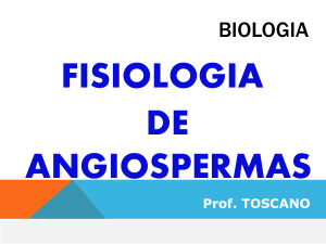 fisiologia angiospermas Toscano