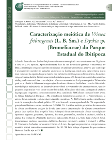 Caracterização meiótica de Vriesea friburgensis (LB Sm.) e Dyckia sp.
