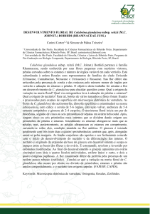 DESENVOLVIMENTO FLORAL DE Colubrina glandulosa subsp. reitzii