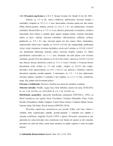 PDF - Isabelle de Medeiros Alves 3