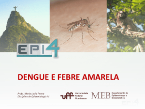 dengue e febre amarela
