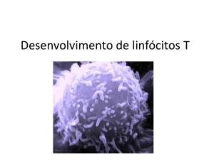Desenvolvimento de linfocitos T