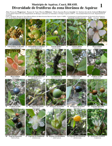 Diversidade de frutíferas da zona litorânea de Aquiraz