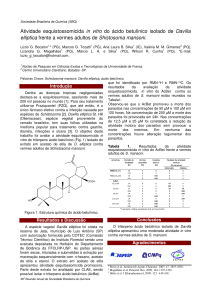 Atividade esquistossomicida in vitro do ácido betulínico isolado de