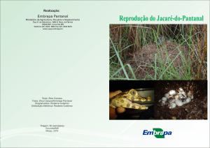 Reprodução do Jacaré-do-Pantanal