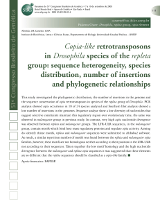 Copia-like retrotransposons in Drosophila species of the repleta