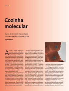 Cozinha molecular - Revista Pesquisa Fapesp