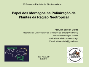 Papel dos Morcegos na polinização de plantas da região neotropical