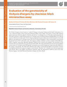 Evaluation of the genotoxicity of Vochysia divergens by citocinese