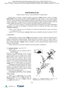 papaveraceae - Instituto de Botânica
