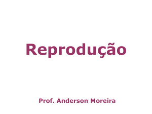 Assexuada - MeAprove